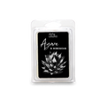 Agave & Hibiscus